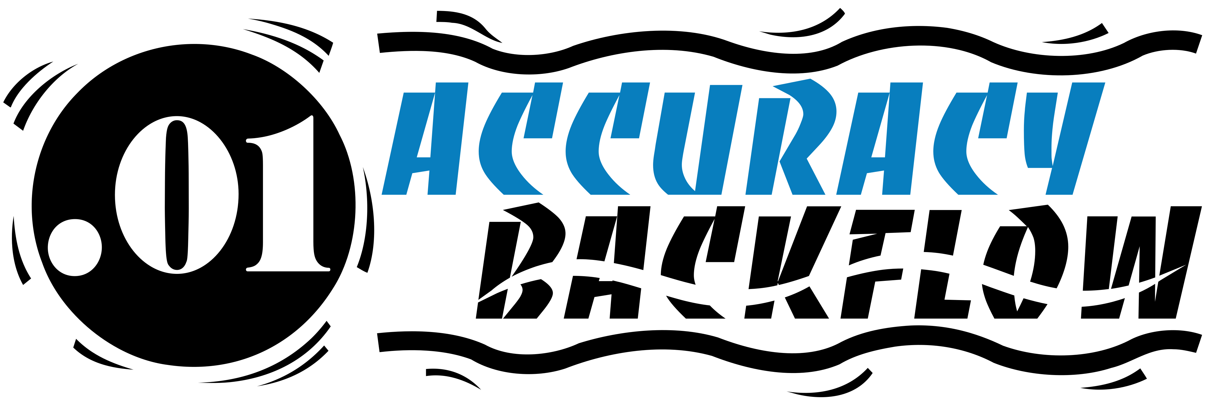 Accuracy Backflow Backflow Testing